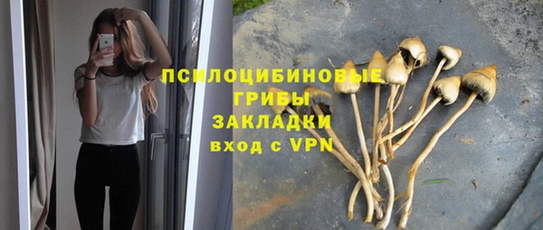мескалин Мегион
