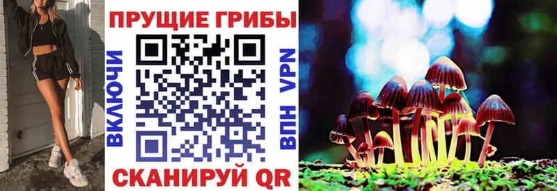 darknet Telegram  где можно купить   Краснообск  Галлюциногенные грибы MAGIC MUSHROOMS  ссылка на мегу онион 